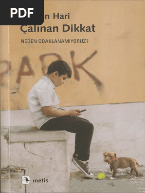 Kış Fırtınalarına Karşı Güçlü Bir Çözüm: Güneş Enerjili Buz Tutmaz Güç Hatları