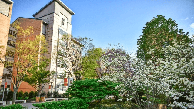 ABD Kütüphane ve Bilgi Bilimleri Okullarında Disiplinler Arası İşbirlikleri Araştırma Peyzajını Nasıl Şekillendiriyor